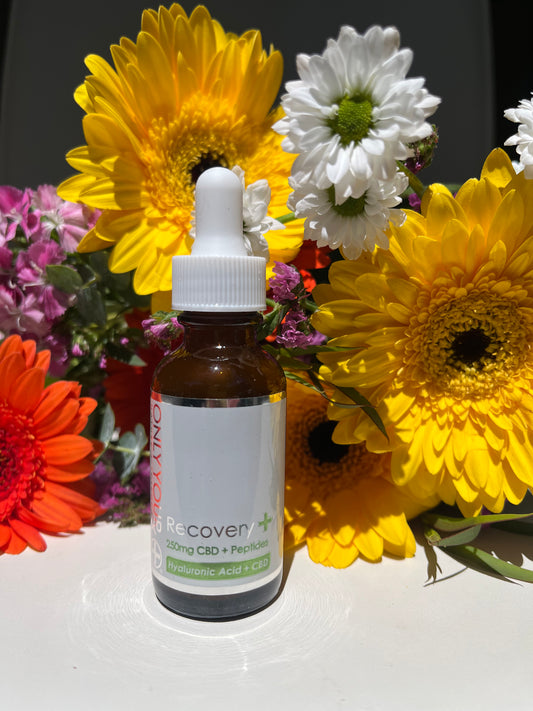 CBD Hyaluronic Acid Serum