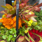 Quest Gel Eyeliner