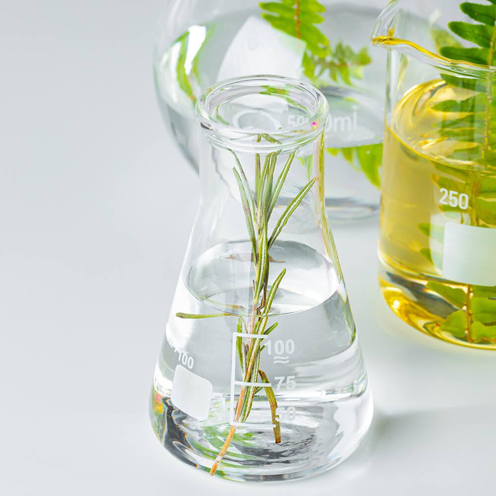 Freshly Made For Your Skin.